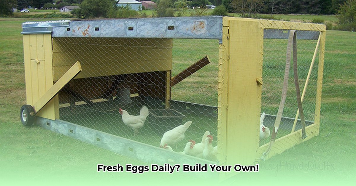 chicken-tractor-images